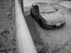 small08.JPG