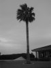 CIMG0054random.JPG