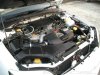 carpic14.JPG