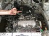 devinsk20hatch02.jpg