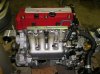 devinsk20hatch11.jpg