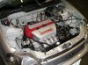 devinsk20hatch12.jpg