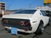 gatti1227-img600x450-1170771260dscn1304.jpg
