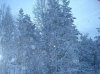 DSC00278.JPG
