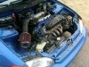 IMG00055-20110117-1255.jpg