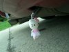 ai5.photobucket.com_albums_y172_dc2_lsvtec_S13_DSCN7171Small.jpg