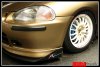 aimg.photobucket.com_albums_v489_EJ1specSiRG_Jimmy_20splitters_bully2.jpg