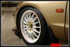 aimg.photobucket.com_albums_v489_EJ1specSiRG_Jimmy_20splitters_bully7.jpg