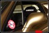 aimg.photobucket.com_albums_v489_EJ1specSiRG_Jimmy_20splitters_bully8.jpg
