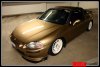 aimg.photobucket.com_albums_v489_EJ1specSiRG_Jimmy_20splitters_bully12.jpg