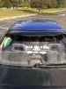 ai24.photobucket.com_albums_c13_eastwickturtle_3029598881_ORIG.jpg