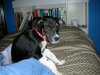 ai11.photobucket.com_albums_a200_CWestAccord_DSCN0722.jpg