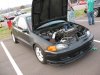 ai213.photobucket.com_albums_cc316_ShaggyZ6_Img_0367.jpg