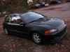 ai213.photobucket.com_albums_cc316_ShaggyZ6_Img_0379.jpg