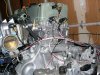 aimg.photobucket.com_albums_v739_b16crxkid_White_20Crx_20K20_Crxbuild029.jpg