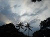 ai74.photobucket.com_albums_i244_ferio_photos_chivic_DSC00351.jpg