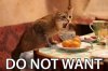ai314.photobucket.com_albums_ll424_ShaggyGD3_do_not_want_cat.jpg