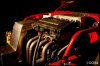 ai104.photobucket.com_albums_m163_dbendel35_the_20next_201000_n1331424140_85431_4973.jpg