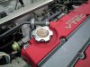 ai104.photobucket.com_albums_m163_dbendel35_the_20next_201000_CA390803.jpg