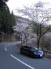ai5.photobucket.com_albums_y157_flatline16_TRD_20SPORTS_20M_p17.jpg