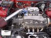 ai221.photobucket.com_albums_dd226_LBBAII_l_689210dd76fb3a2800959c662cad2783.jpg