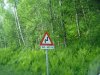 ai226.photobucket.com_albums_dd259_JDMSol86_DSC01344.jpg