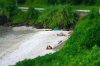 ai104.photobucket.com_albums_m163_dbendel35_Newkiss090_tiltshift.jpg