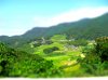 ai104.photobucket.com_albums_m163_dbendel35_CIMG1203_tiltshift.jpg