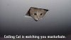 ai18.photobucket.com_albums_b120_JDMUNIVERSECARS_cellingcat8kr.jpg