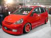 aresponse.jp_event_auto_salon2003_image_gw7c_dscn00230001.jpg