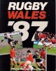 awww.rugbyrelics.com_images_Books_Annuals_87__20RY_20Wales.jpg