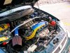 ai74.photobucket.com_albums_i244_ferio_photos_rhondapics013.jpg