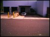 aimg.photobucket.com_albums_v684_thebeast18974_final8.jpg