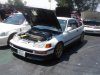aimg.photobucket.com_albums_v246_joeylynda_joey16.jpg