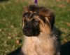 ai3.photobucket.com_albums_y68_pyork03_1_29_062.jpg