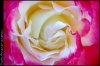 ai29.photobucket.com_albums_c266_Jdmfever_DSC_0003.jpg