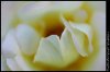 ai29.photobucket.com_albums_c266_Jdmfever_DSC_0024.jpg
