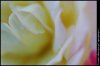 ai29.photobucket.com_albums_c266_Jdmfever_DSC_0033.jpg
