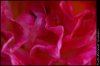 ai29.photobucket.com_albums_c266_Jdmfever_DSC_0039.jpg