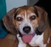 ai21.photobucket.com_albums_b261_mikeshatch_Lucky001.jpg