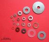 aupload.wikimedia.org_wikipedia_commons_thumb_2_2f_Washers.agr.jpg_300px_Washers.agr.jpg