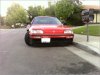 ai79.photobucket.com_albums_j129_Pooper13_2008.jpg