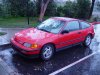 ai79.photobucket.com_albums_j129_Pooper13_CopyofDSC01080.jpg