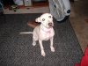 ai70.photobucket.com_albums_i98_smokinDA_DSCF0154.jpg