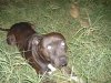 ai70.photobucket.com_albums_i98_smokinDA_DSCF0153.jpg