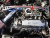 ai74.photobucket.com_albums_i244_ferio_photos_d16z6.jpg