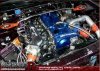 amckinneymotorsports.com_images_gallery_101.jpg