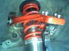 ai37.photobucket.com_albums_e57_DannyEscondio_Skunk2Mounted.jpg