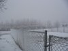 ai74.photobucket.com_albums_i244_ferio_photos_ronamark079.jpg