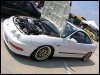 ai114.photobucket.com_albums_n279_hondaacclx84_nopi062.jpg
